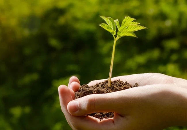 Dlaczego świeca sypana LEDOM to zrównoważony wybór